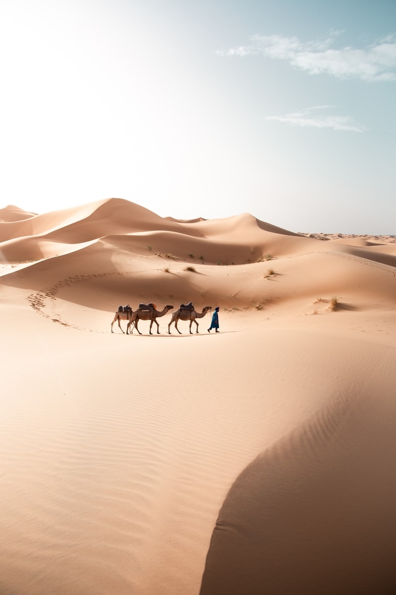 Travel to morocco sahara desert tour