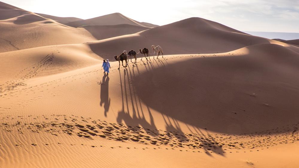 The most beautiful experiences to live in the Moroccan desert